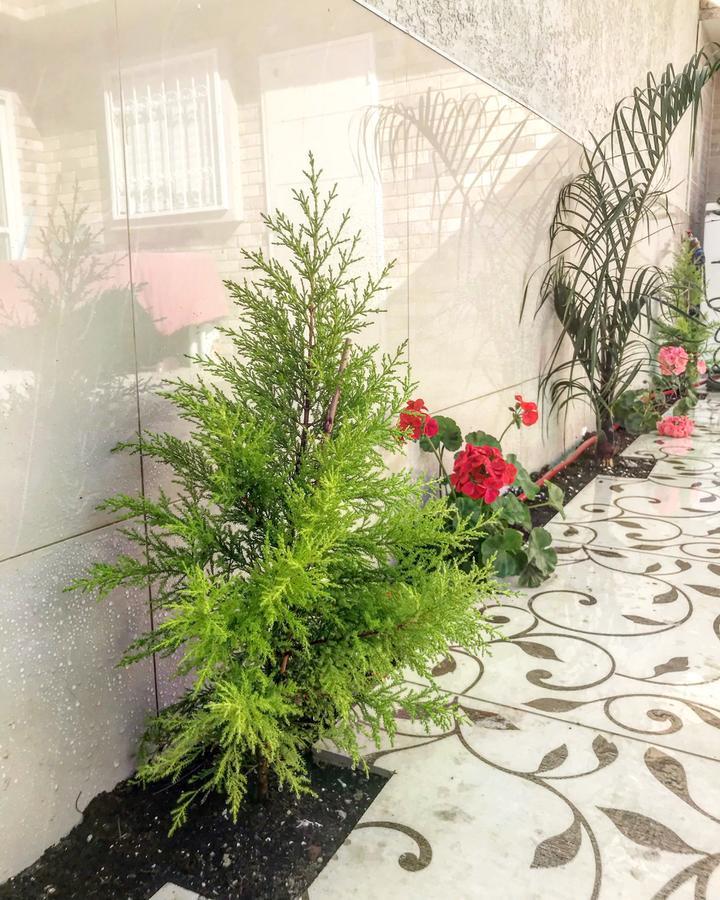 Shahal Apartments Beersheba Екстериор снимка