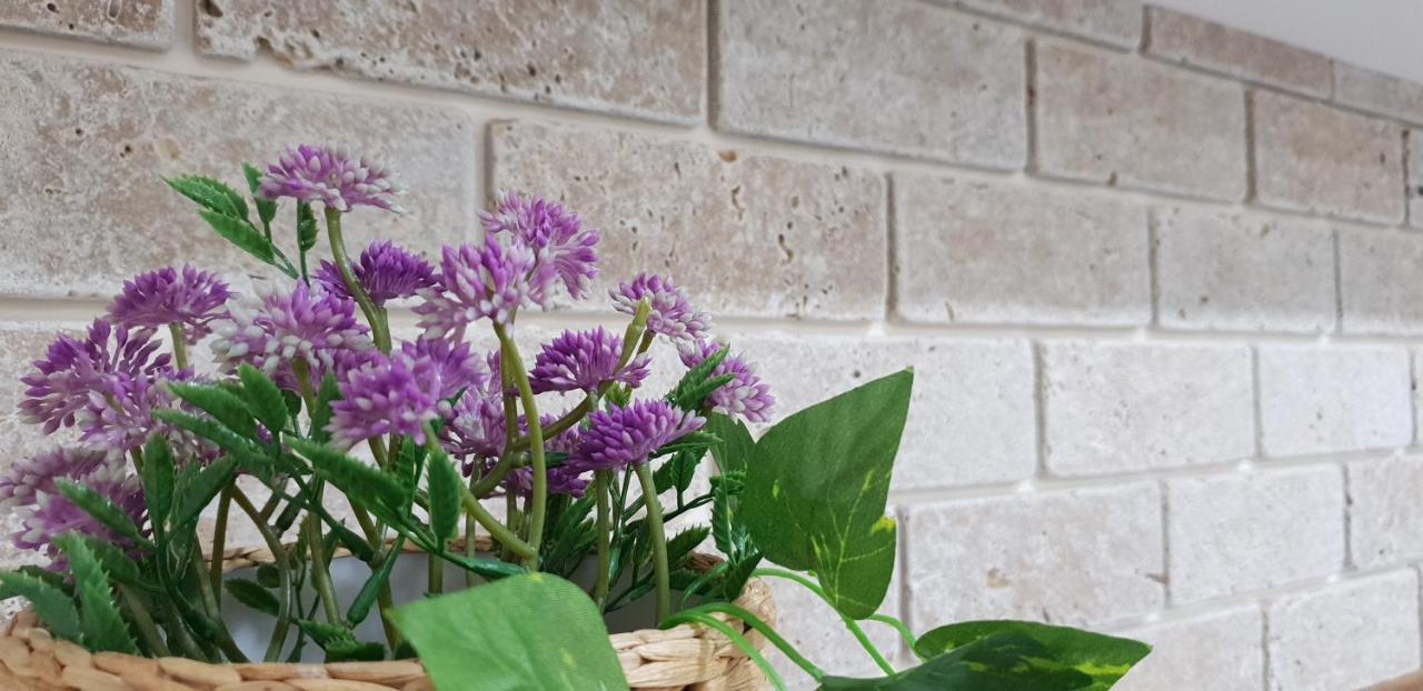 Shahal Apartments Beersheba Екстериор снимка